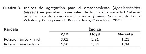 Cuadro%203.jpg