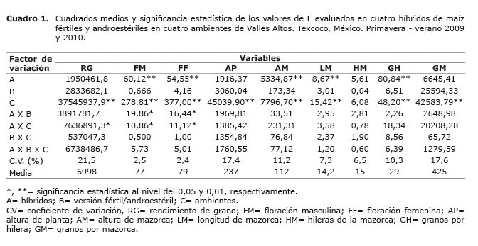 Cuadro%201.jpg