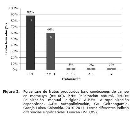Figura%202.jpg