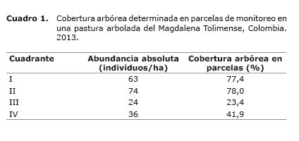 Cuadro%201.jpg