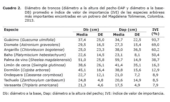 Cuadro%202.jpg