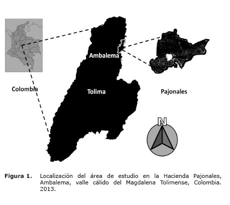 Figura%201.jpg