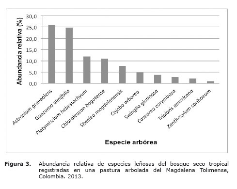 Figura%203.jpg