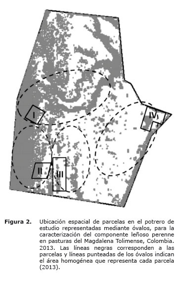 Figura%202.jpg