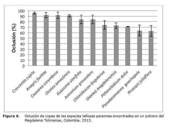 Figura%206.jpg