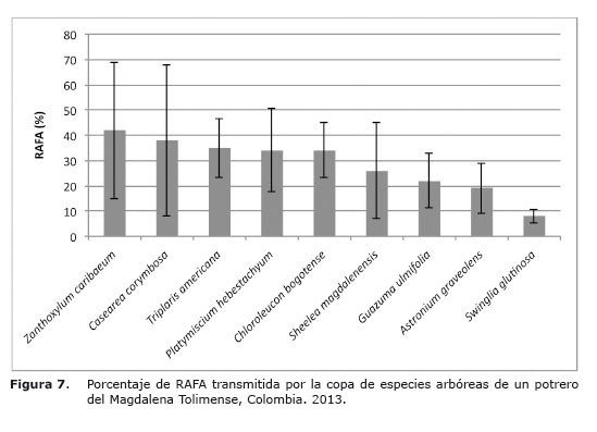 Figura%207.jpg