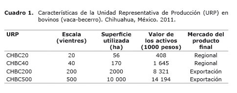 Cuadro%201.jpg