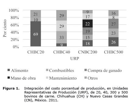 Figura%201.jpg