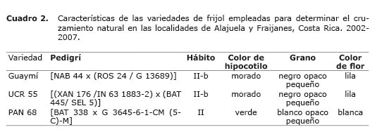 Cuadro%202.jpg