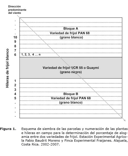 Figura%201.jpg