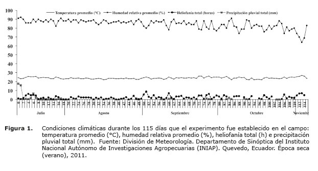 Figura%201.jpg