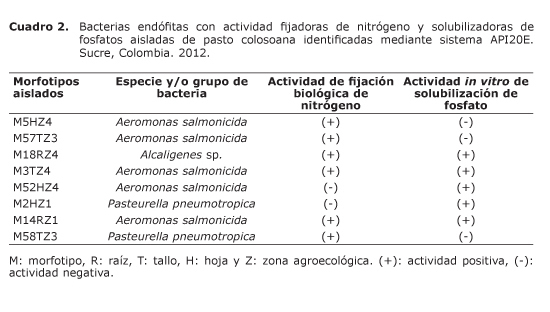 Cuadro%202.jpg