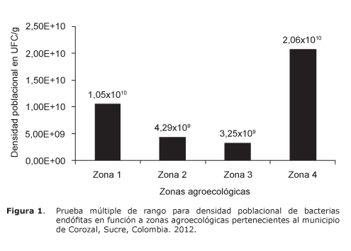 Figura%201.jpg