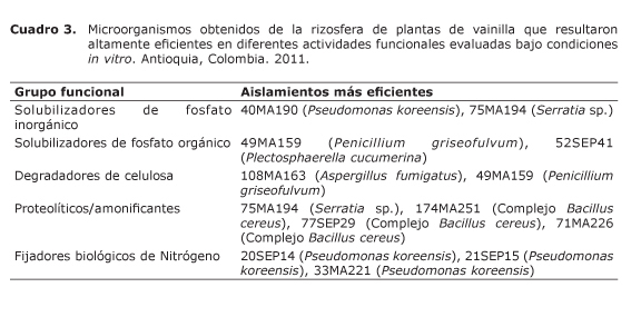 Cuadro%203.jpg