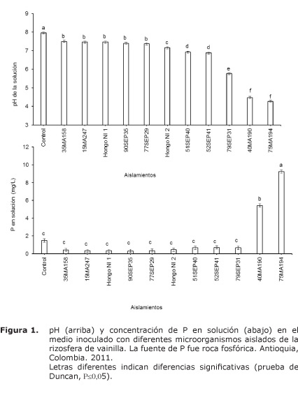 Figura%201.jpg