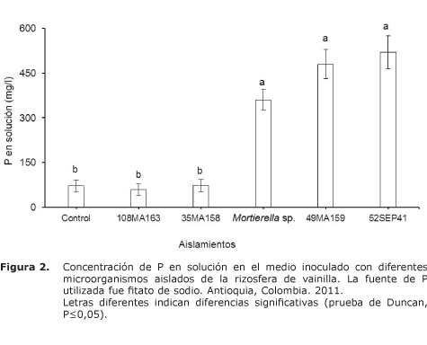 Figura%202.jpg