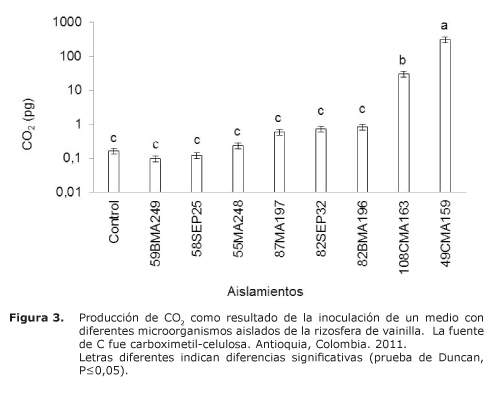 Figura%203.jpg