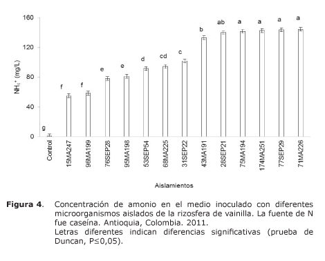 Figura%204.jpg