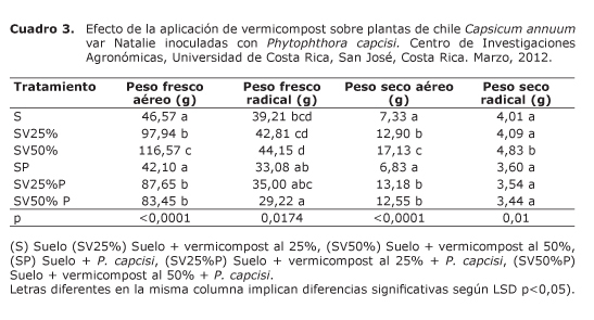 Cuadro%203.jpg