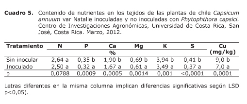 Cuadro%205.jpg