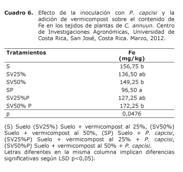 Cuadro%206.jpg