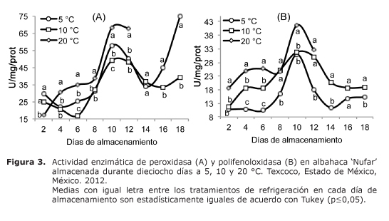 Figura%203.jpg