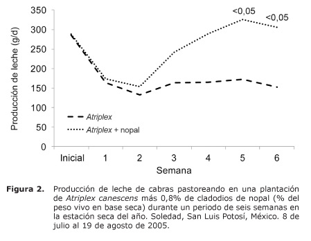 Figura%202.jpg