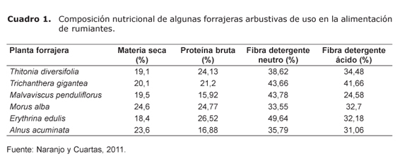 Cuadro%201.jpg