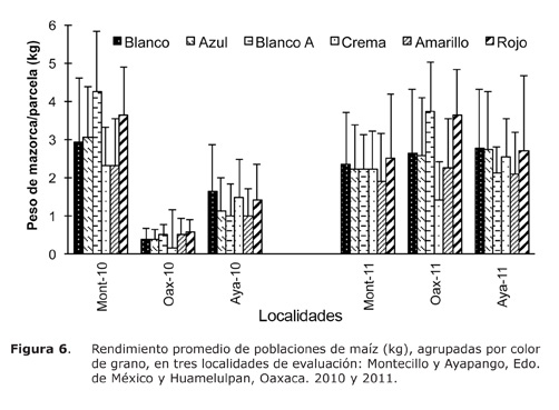 Figura%206.jpg