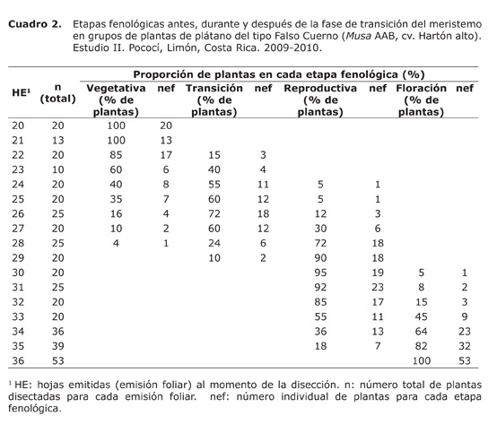 Cuadro%202.jpg