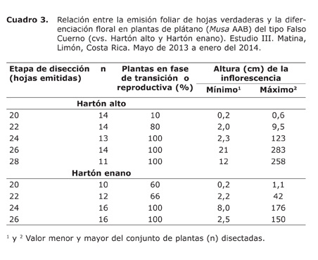 Cuadro%203.jpg