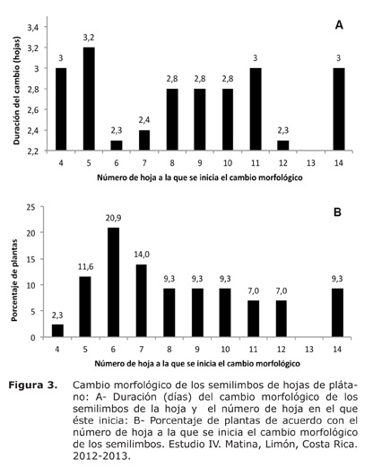 Figura%203.jpg