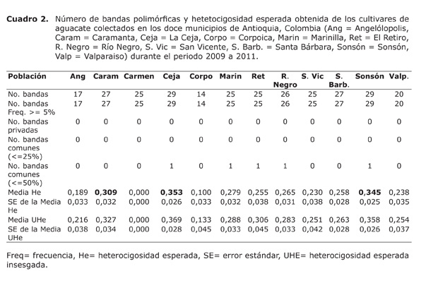 Cuadro%202.jpg