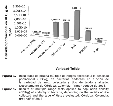 Figura%201.jpg