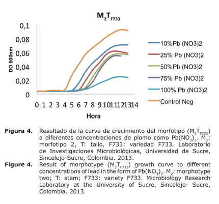 Figura%204.jpg