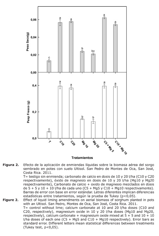 Figura%202.jpg