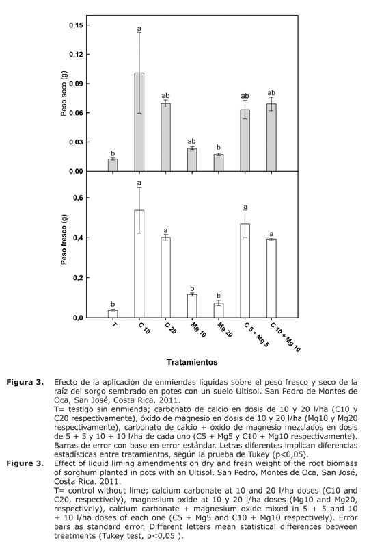 Figura%203.jpg