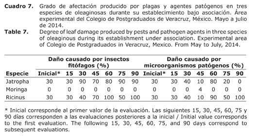 Cuadro%207.jpg