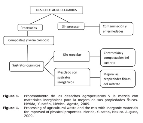 Figura%201.jpg