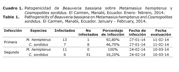 Cuadro%201.jpg