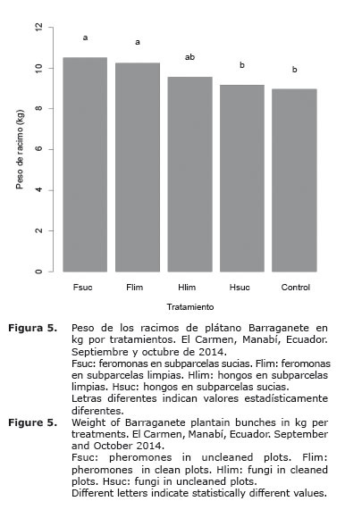 Figura%205.jpg