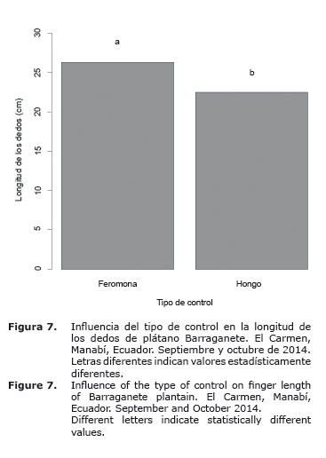 Figura%207.jpg