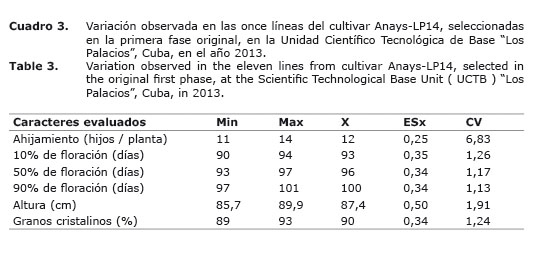 Cuadro%203.jpg