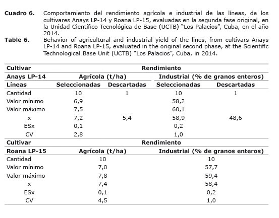 Cuadro%206.jpg