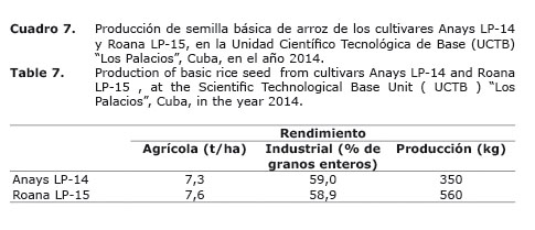 Cuadro%207.jpg