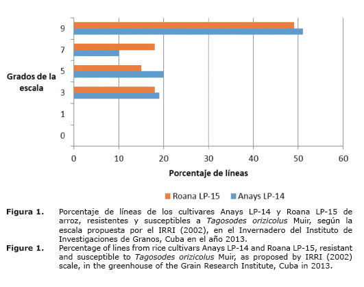 Figura%201.jpg