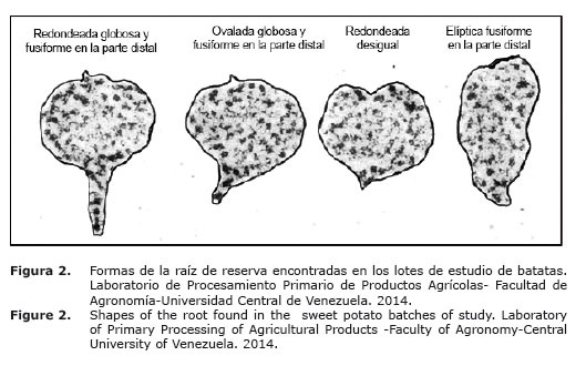 Figura%202.jpg