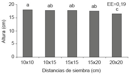 Efecto de cinco distancias de siembra en la altura de las plantas de moringa. Período noviembre- febrero, municipio Bayamo, Granma, Cuba. 2014-2015.