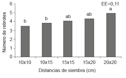Comportamiento del número de rebrotes de moringa en cinco densidades de siembra. Período noviembre-febrero, municipio Bayamo, Granma, Cuba. 2014-2015.