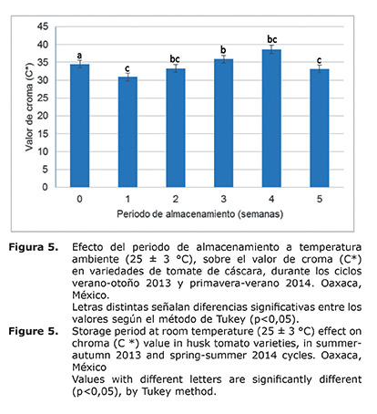 Figura%205.jpg